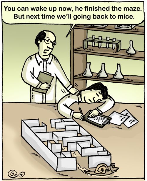 'You can wake up now, he finished the maze. But next time we'll going back to mice.'