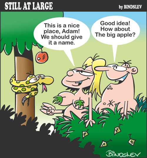 "This is a nice place, Adam! WE should give it a name."
