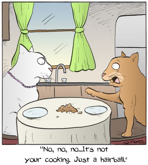 "No, no, no....It's not your cooking. Just a hairball."