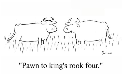 'Pawn to king's rook four.'