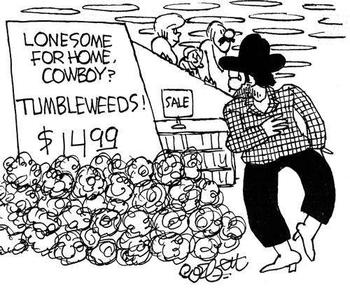Lonesome for home, Cowboy: Tumbleweeds...$14.99.