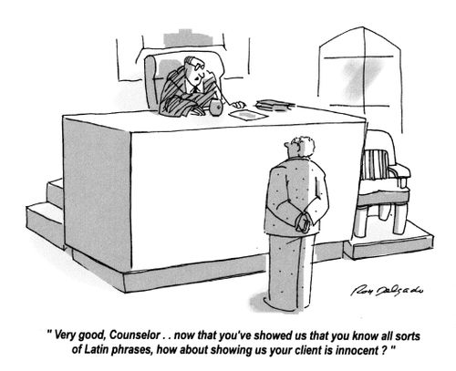 'Very good, Counselor... now that you've showed us that you know all sorts of Latin phrases, how about showing us your client is innocent?'