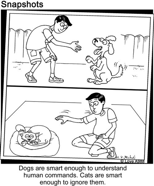 Dogs are smart enough to understand human commands. Cats are smart enough to ignore them.