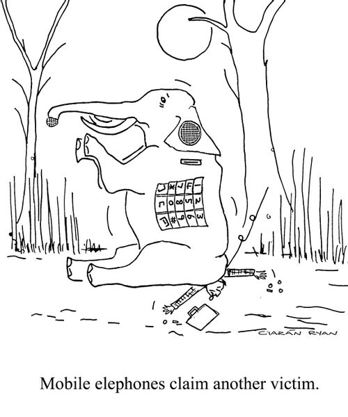 Mobile elephones claim another victim.