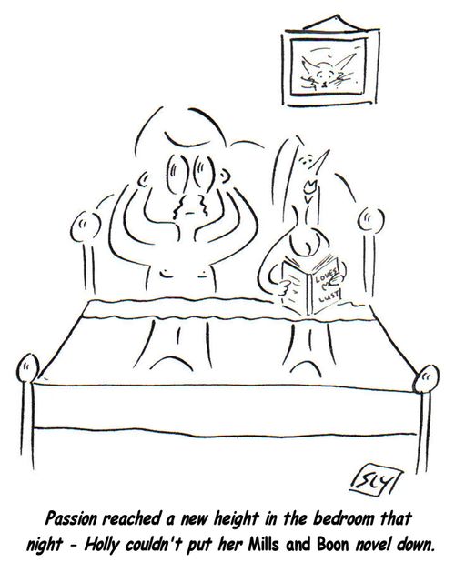 Passion reached a new height in the bedroom that night - Holly couldn't put her Mills and Boon novel down.