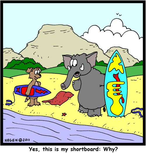 'Yes, this is my shortboard: Why?'