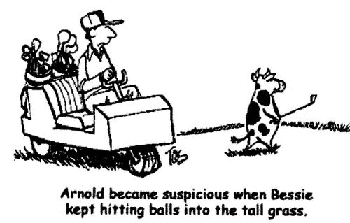 'Arnold became suspicious when Bessie kept hitting balls into the tall grass.'