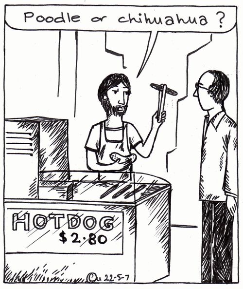 'Poodle or Chihuahua?'