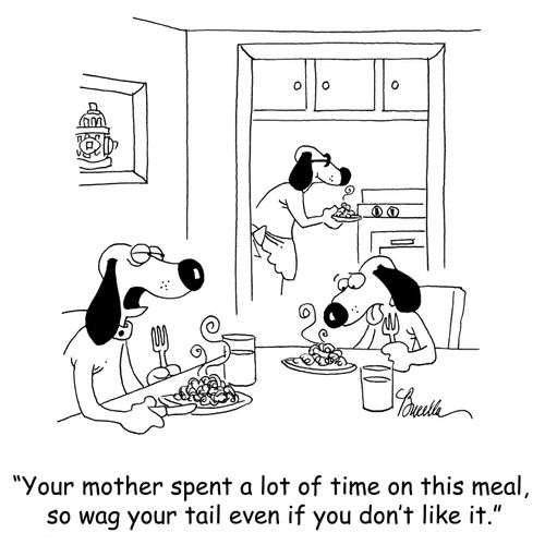 'Your mother spent a lot of time on this meal, so wag your tail even if you don't like it.'