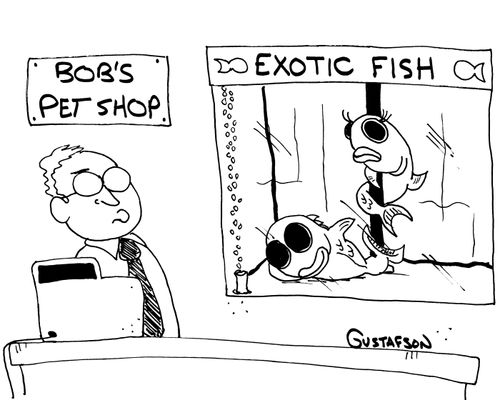 Exotic Fish.