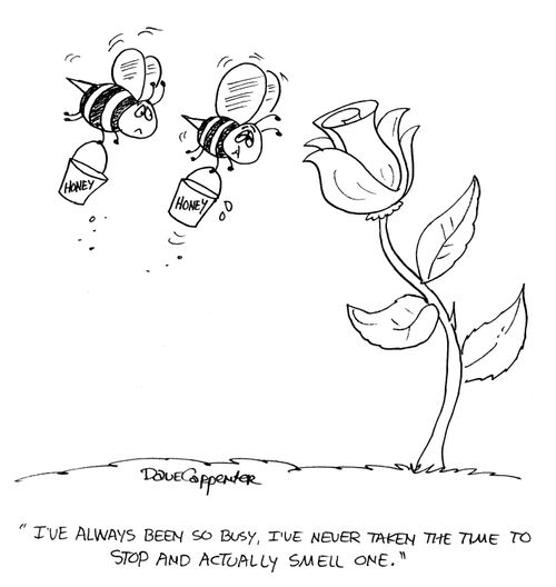 'I've always been so busy, I've never taken the time to stop and smell one.'