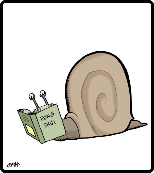 Snail reading about Feng Shui.