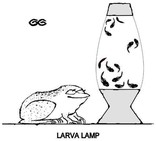 Larva lamp.