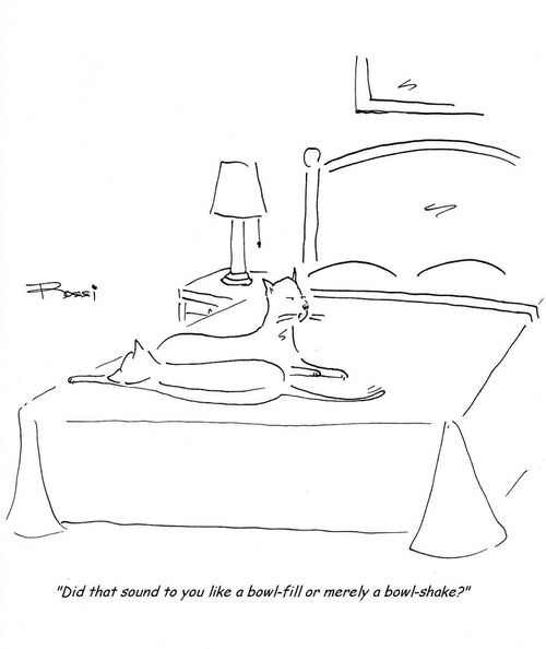  'Did that sound to you like a bowl-fill or merely a bowl-shake?'