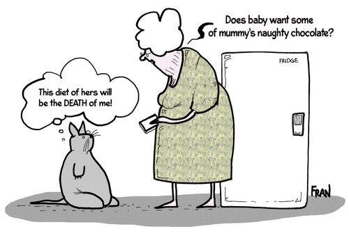 'This diet of hers will be the death of me!'