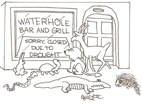 Waterhole bar and grill...Sorry, closed due to drought.