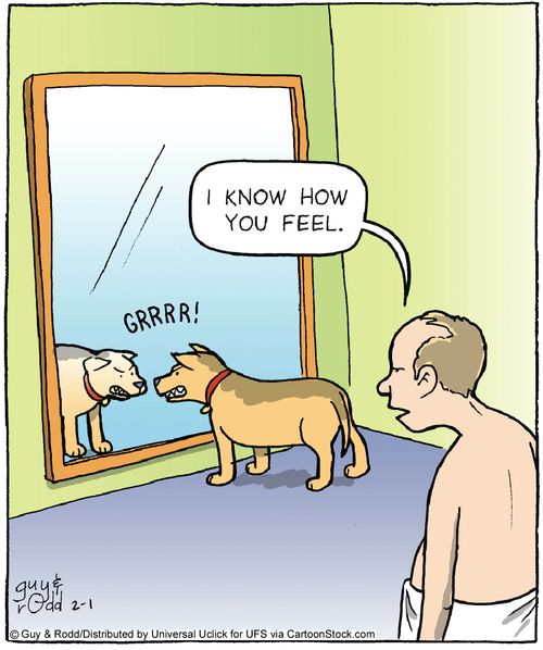 'I know how you feel.'