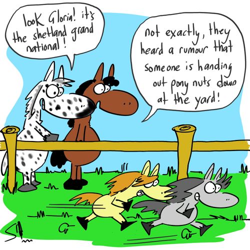 'Look Gloria its the Shetland Grand National!'