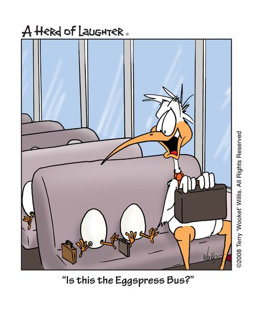 'Is this the Eggspress Bus?'