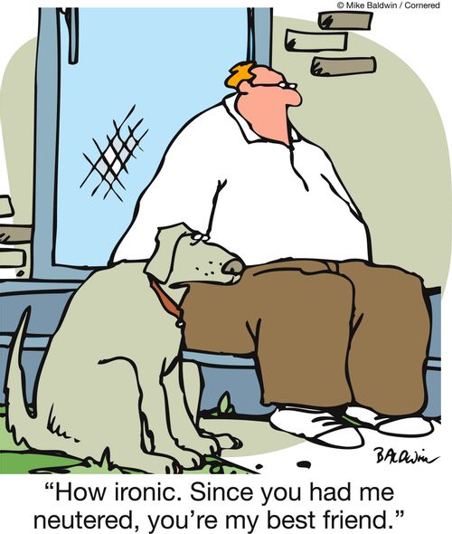 'How ironic. Since you had me neutered, you're my best friend.'
