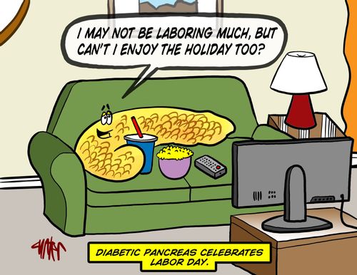 Diabetic pancreas celebrates Labor Day