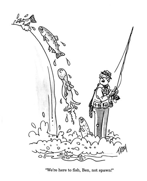 'We're here to fish, Ben, not spawn!'