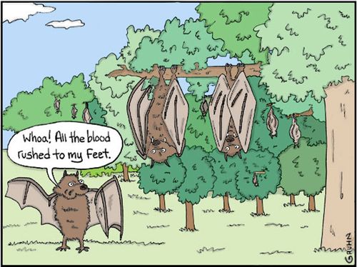 'Whoa! All the blood rushed to my feet.'