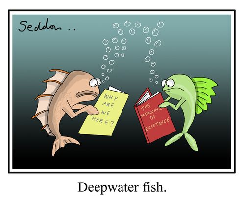 Deepwater Fish