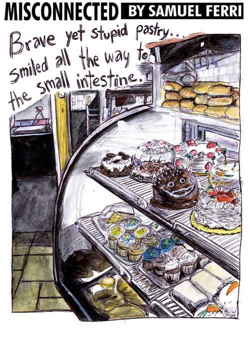 Smiling Cake: Brave yet stupid pastry...smiled all the way to the small intestine