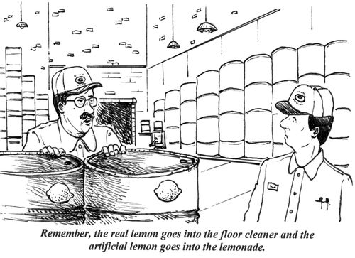 'Remember, the real lemon goes into the floor cleaner and the artificial lemon goes into the lemonade.'