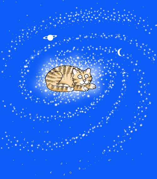 Cat sat in the Milky Way