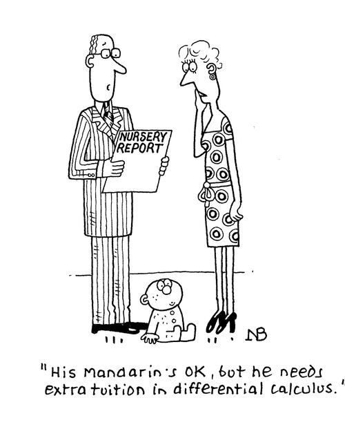 'His Mandarin's OK, but he needs extra tuition in differential calculus.'
