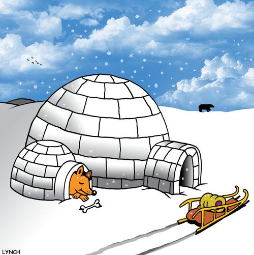 Dog Igloo.