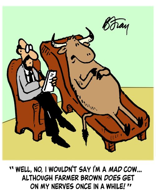 'Well, no, I wouldn't say I'm a mad cow, although Farmer Brown does get on my nerves once in a while!'