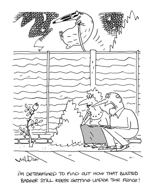 'I'm determined to find out how that blasted badger still keeps getting under the fence!'