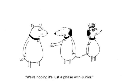 'we're hoping it's just a phase with Junior.'