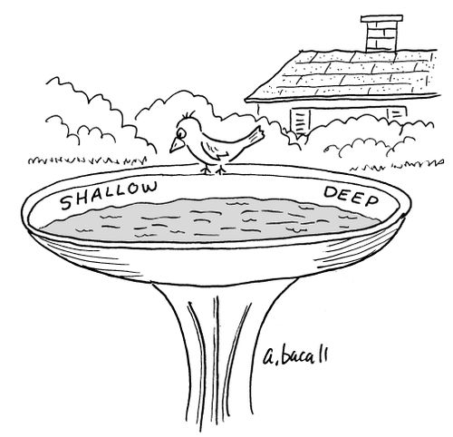 birdbath