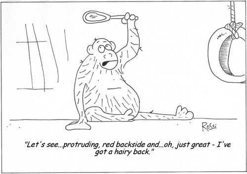 Monkey checks himself out in the mirror.