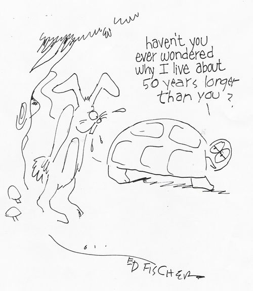 "Haven't you wondered why I live about 50 years longer thank you?"