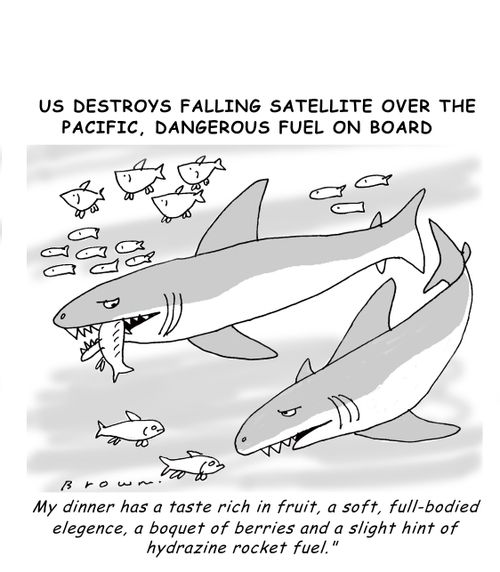 US destroys Dangerous Satellite.