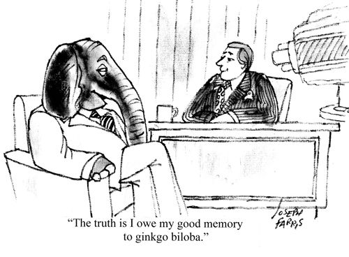 "The truth is I owe my good memory to ginkgo biloba."