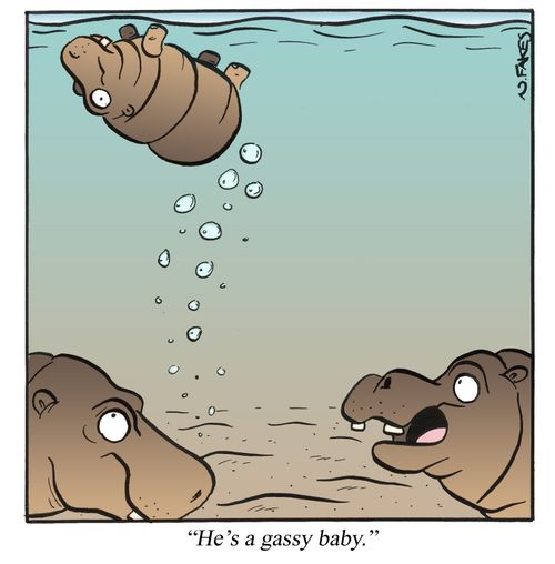 'He's a gassy baby.'
