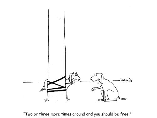 "Two or three more times around and you should be free."