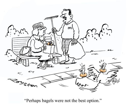 Ducks strangled by bagels. Park keeper says: 'Perhaps bagels were not the best option.'