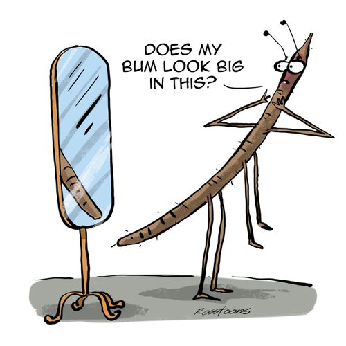 Does my bum look big in this?
