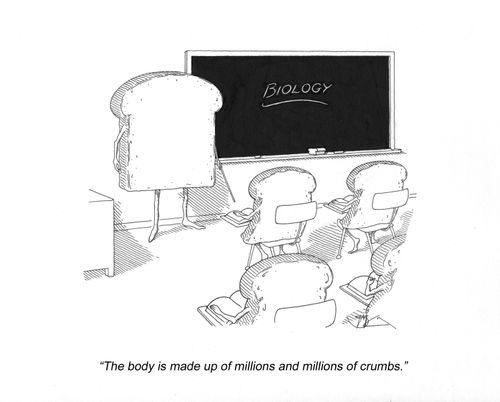 'The body is made up of millions and millions of crumbs.'