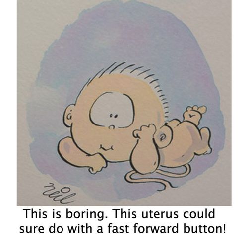 'This is boring. This uterus could sure do with a fast forward button.'