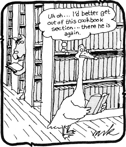 'uh oh...I'd better get out of this cookbook section...There he is again.'