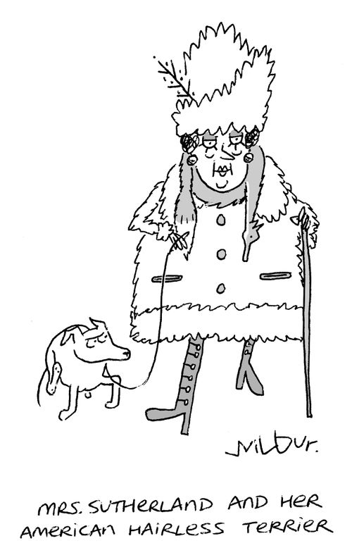 Mrs Sutherland and her American Hairless Terrier.
