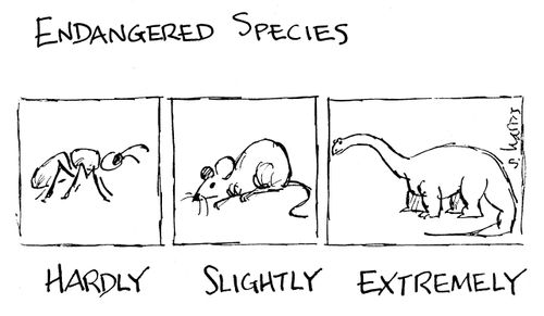 Endangered Species - Hardly/Slightly/Extremely.